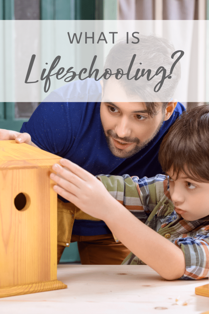 Father and son working on a birdhouse