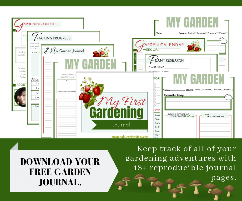 Thumbnail Garden Journal - Tina von Hatten