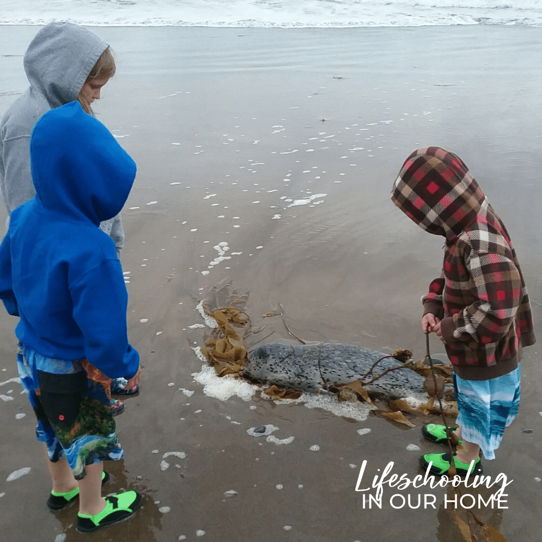 Homeschooling at the Beach