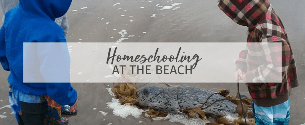 Homeschooling at the Beach