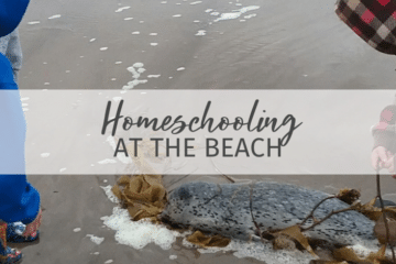 Homeschooling at the Beach