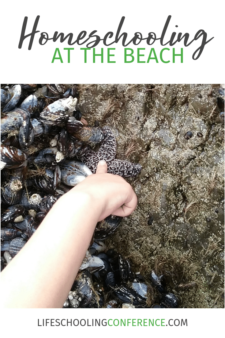 Homeschooling at the Beach