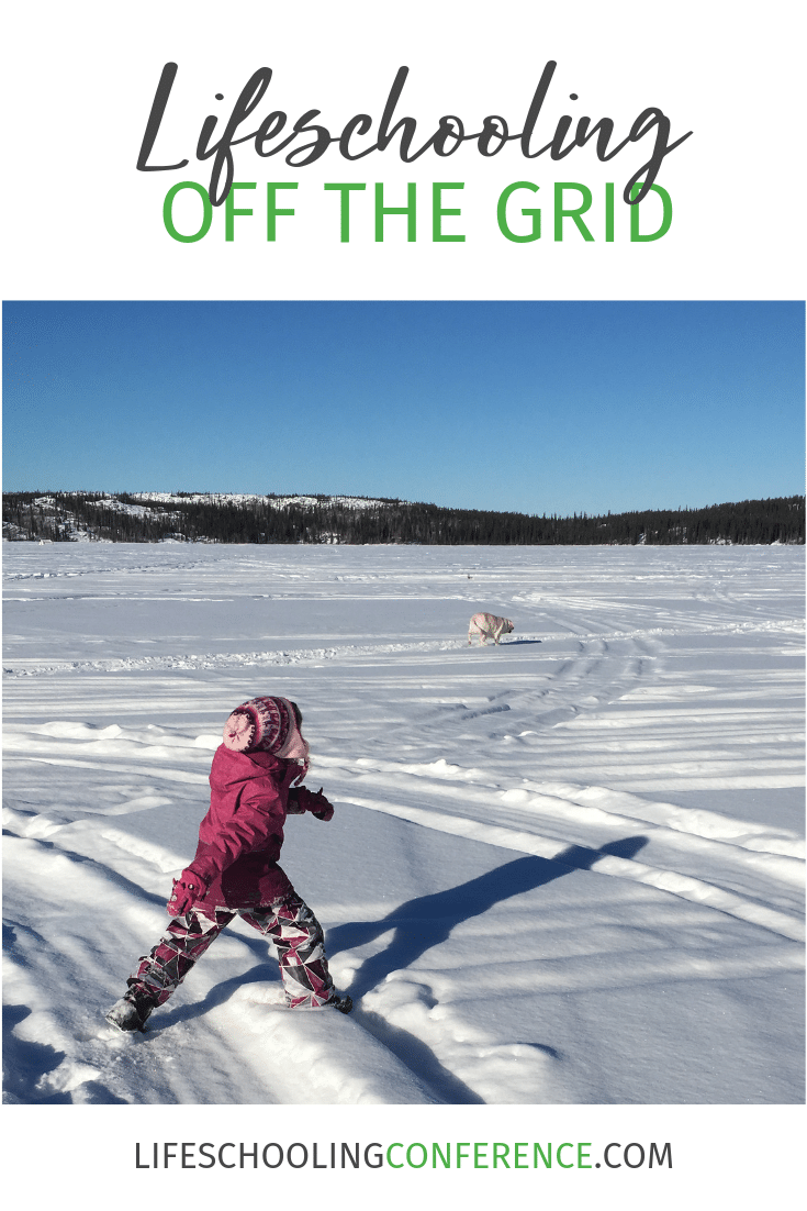 When we moved from the Toronto suburbs to an off the grid home in Canada's Northwest Territories in 2012, my husband and I knew we wanted to homestead and homeschool.