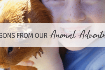 Lessons From Our Animal Adventures