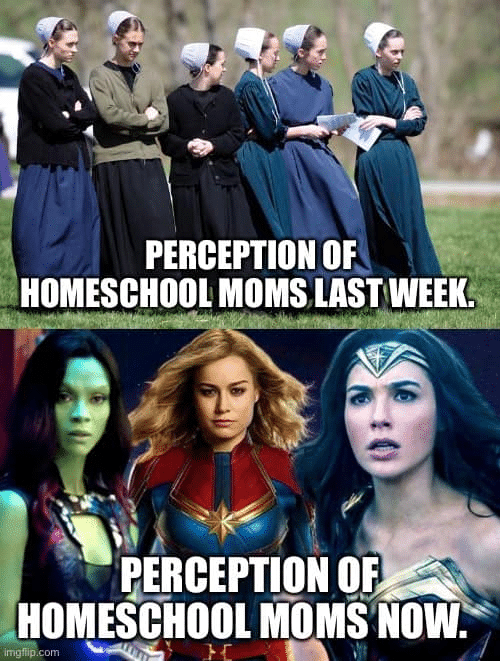 homeschool moms