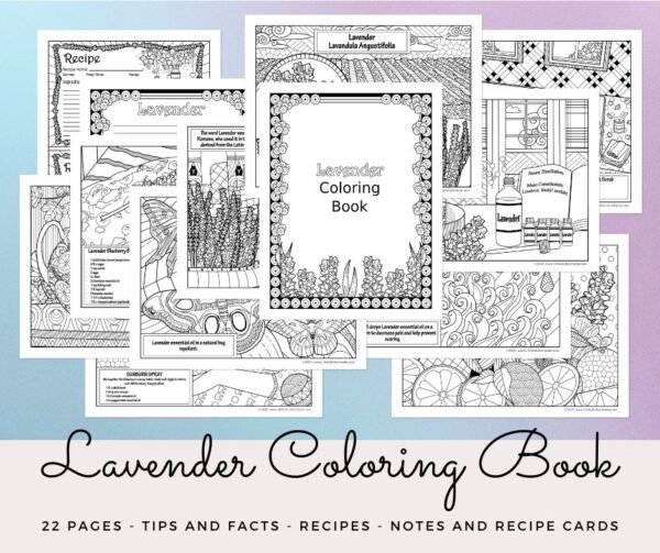 Lavender coloring book