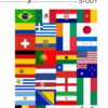 cover sheet with flags