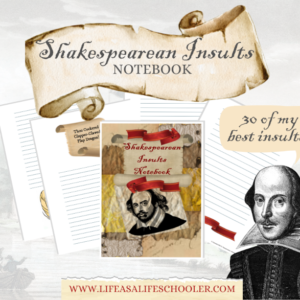 Picture of cover and several interior pages of Shakespearean Insults notebook