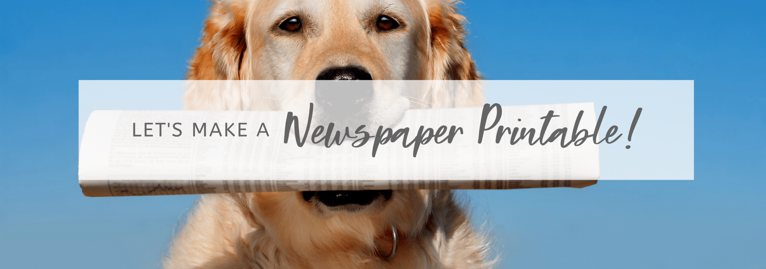 picture of a dog holding a newspaper