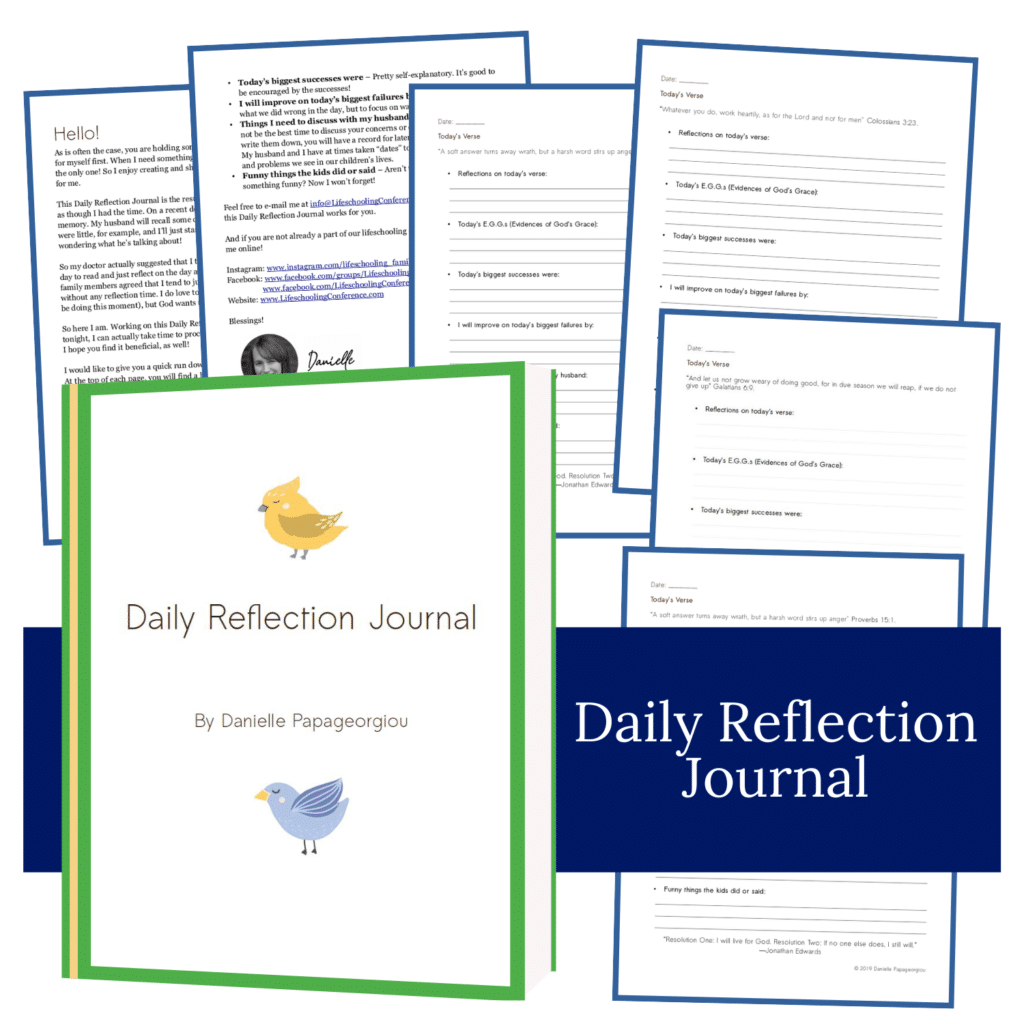 mock up of daily reflection journal with blue banner and green outline around cover