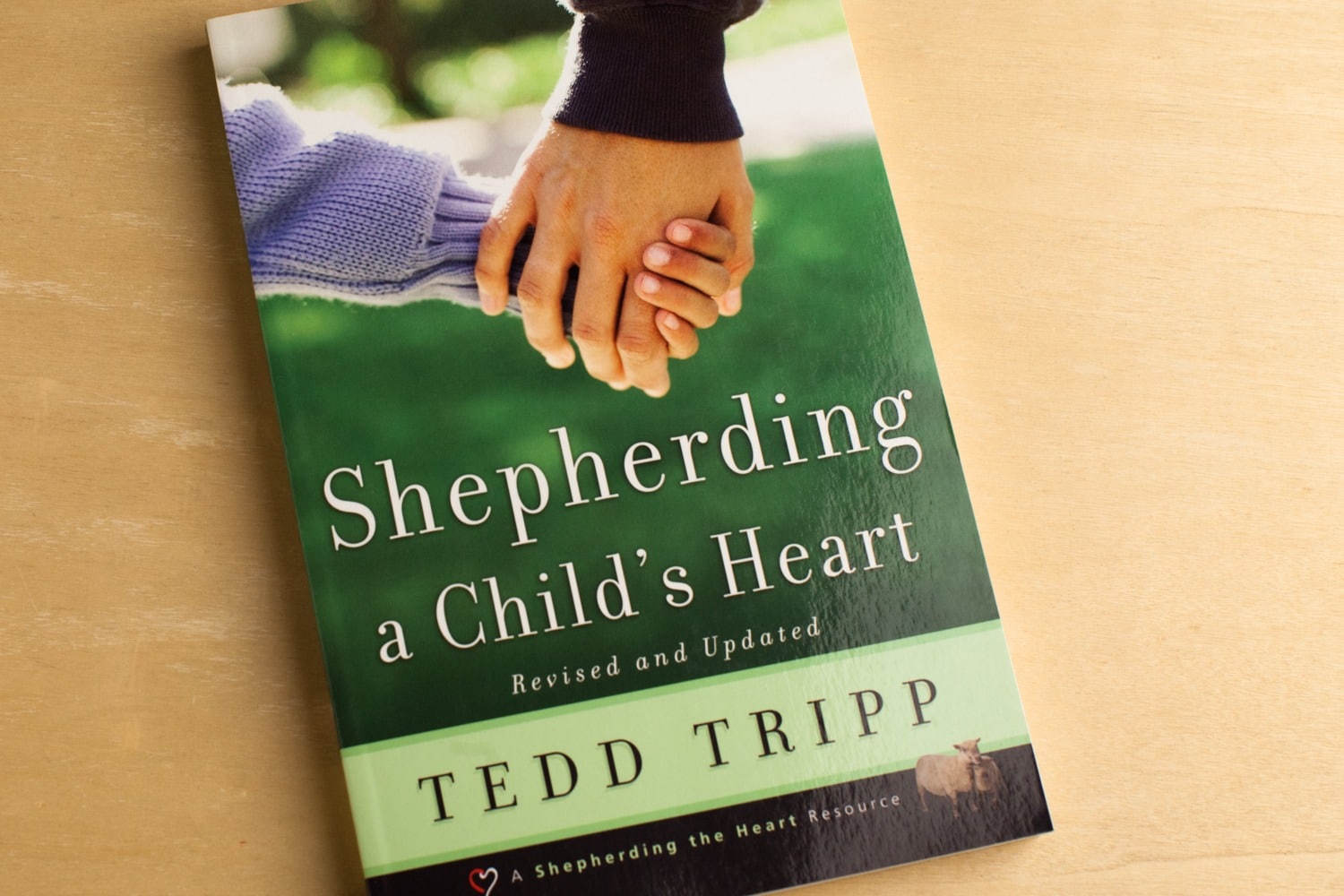 Shepherding-a-Childs-Heart